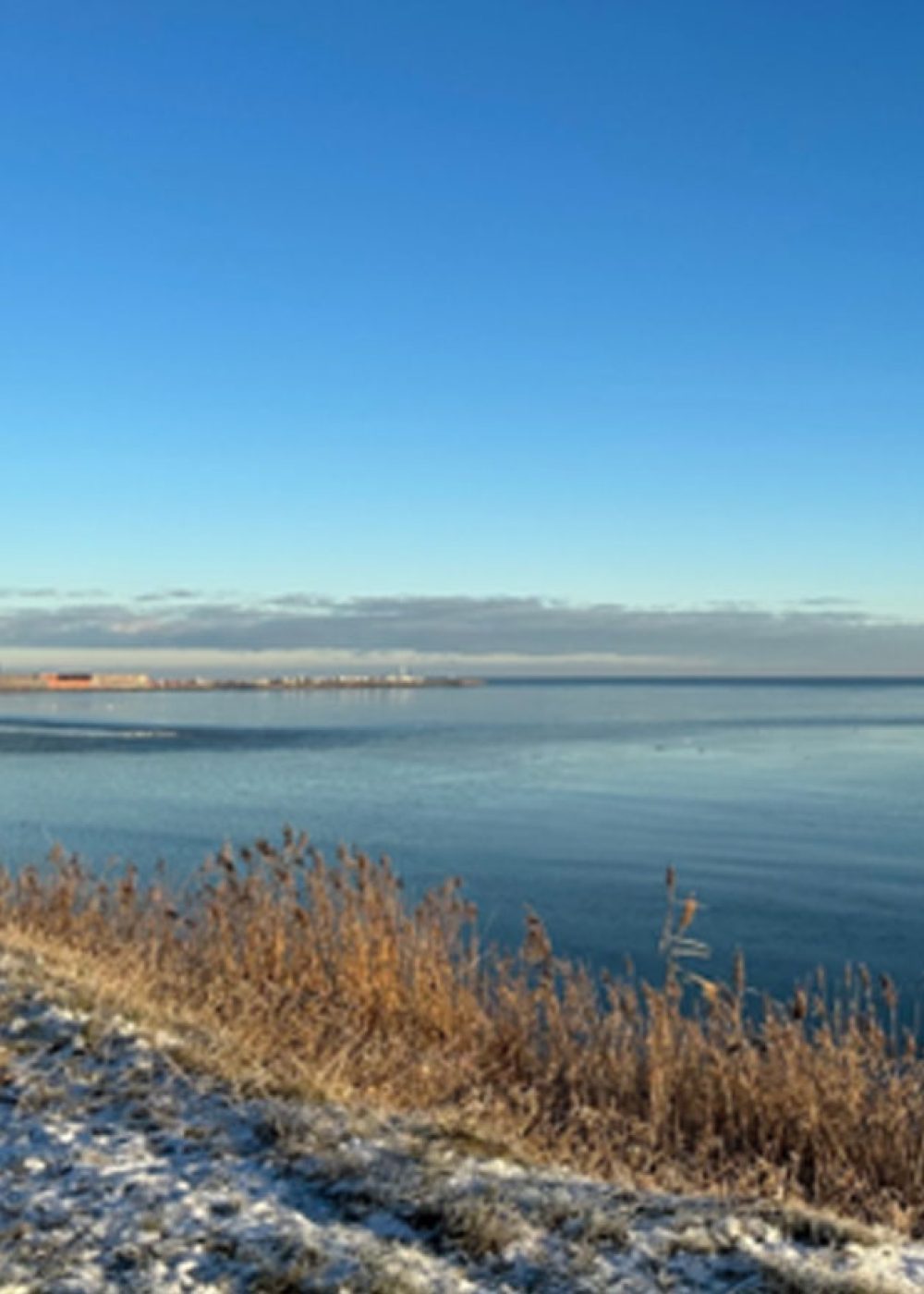 Strandhaven-Sæby_Åbning_NY1